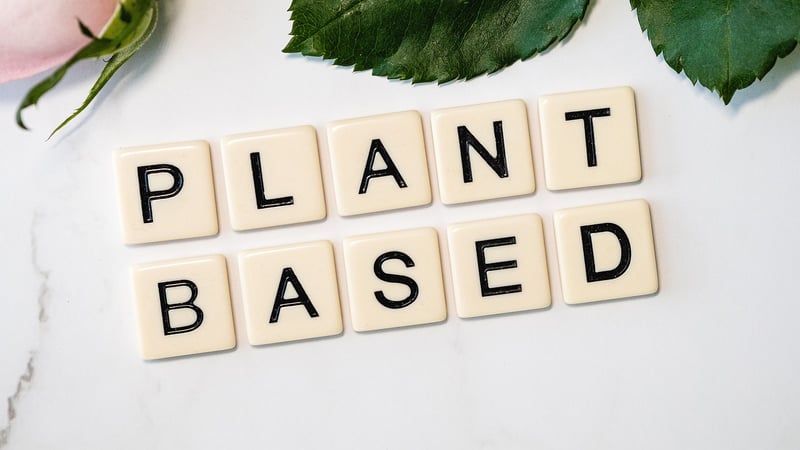 Plant-Based Art