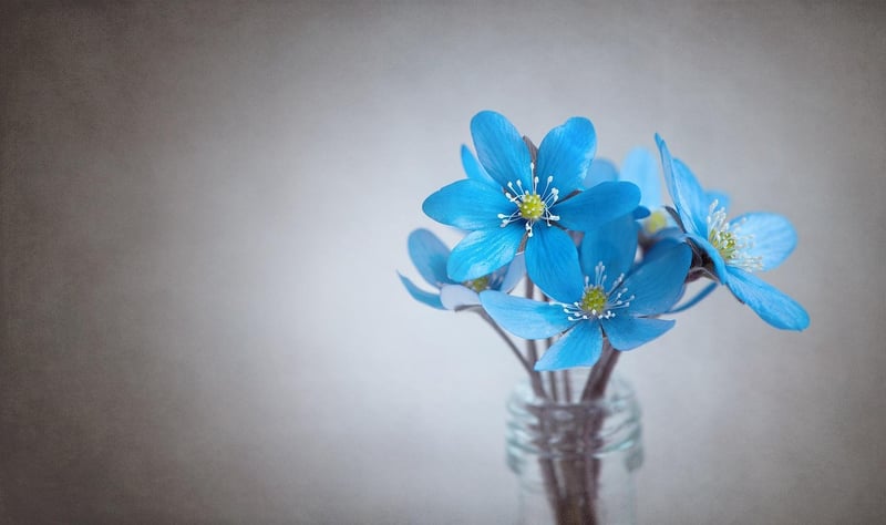 Floral Installations